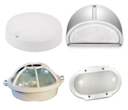 Imagen para la categoría TORTUGAS