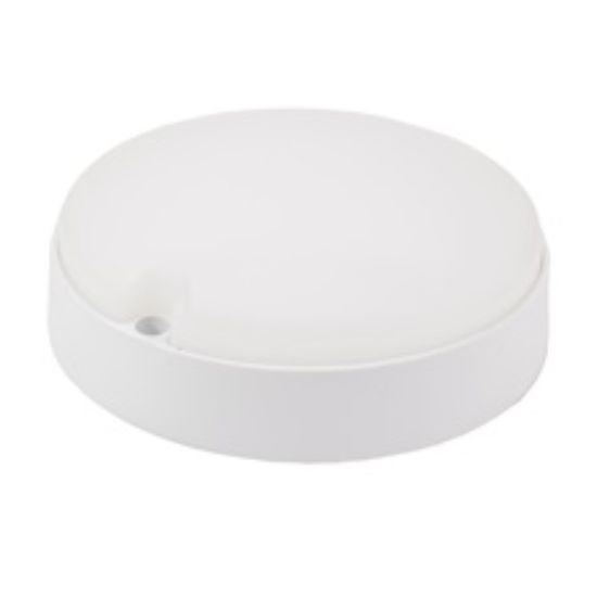 Imagen de TORTUGA LED REDONDA 12W LUZ DIA -KIAN